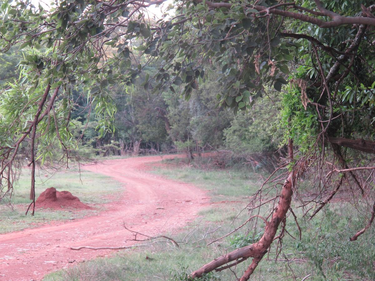 Harties Is Africa Safari Lodge Kosmos Екстер'єр фото