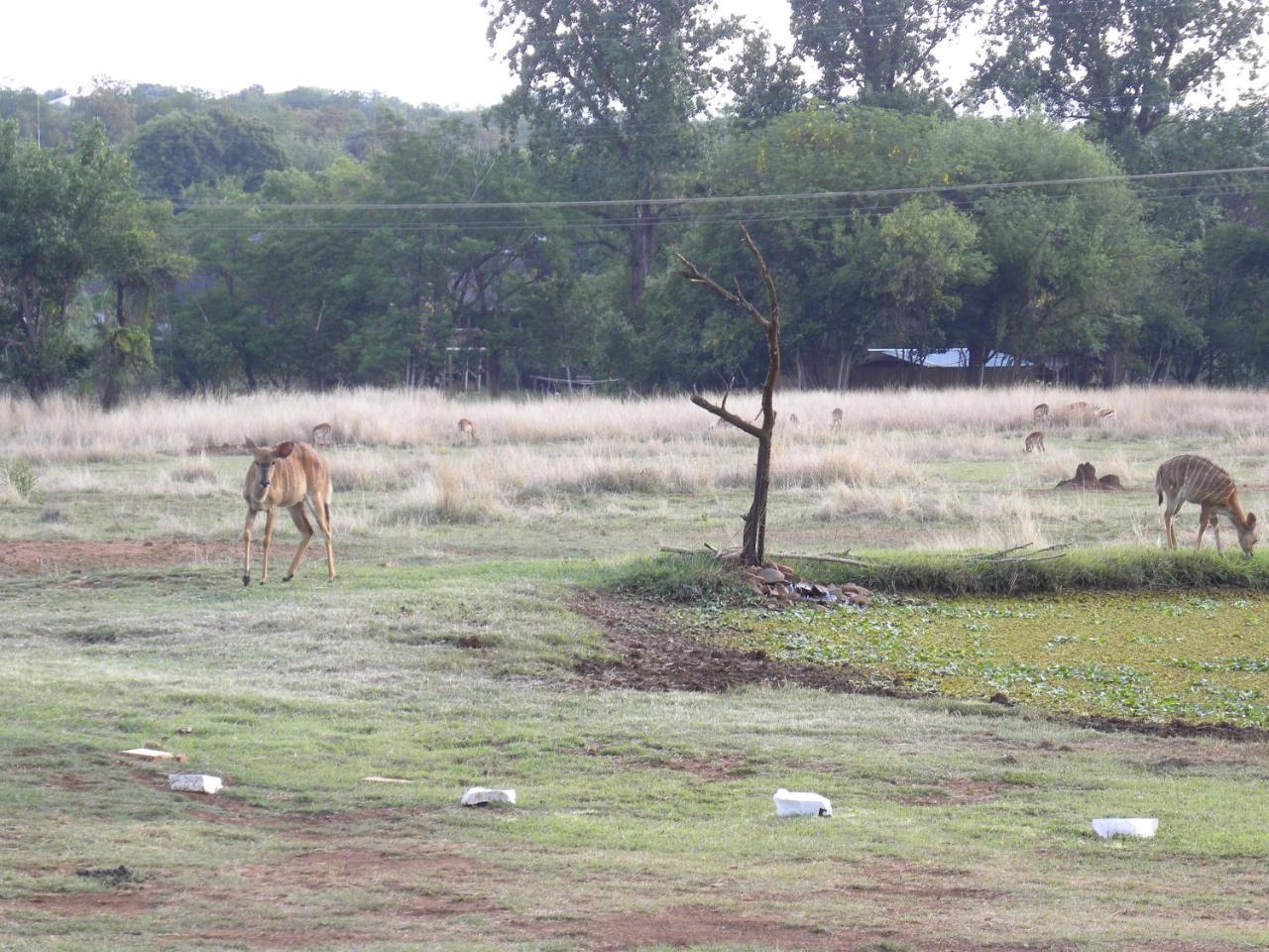 Harties Is Africa Safari Lodge Kosmos Екстер'єр фото
