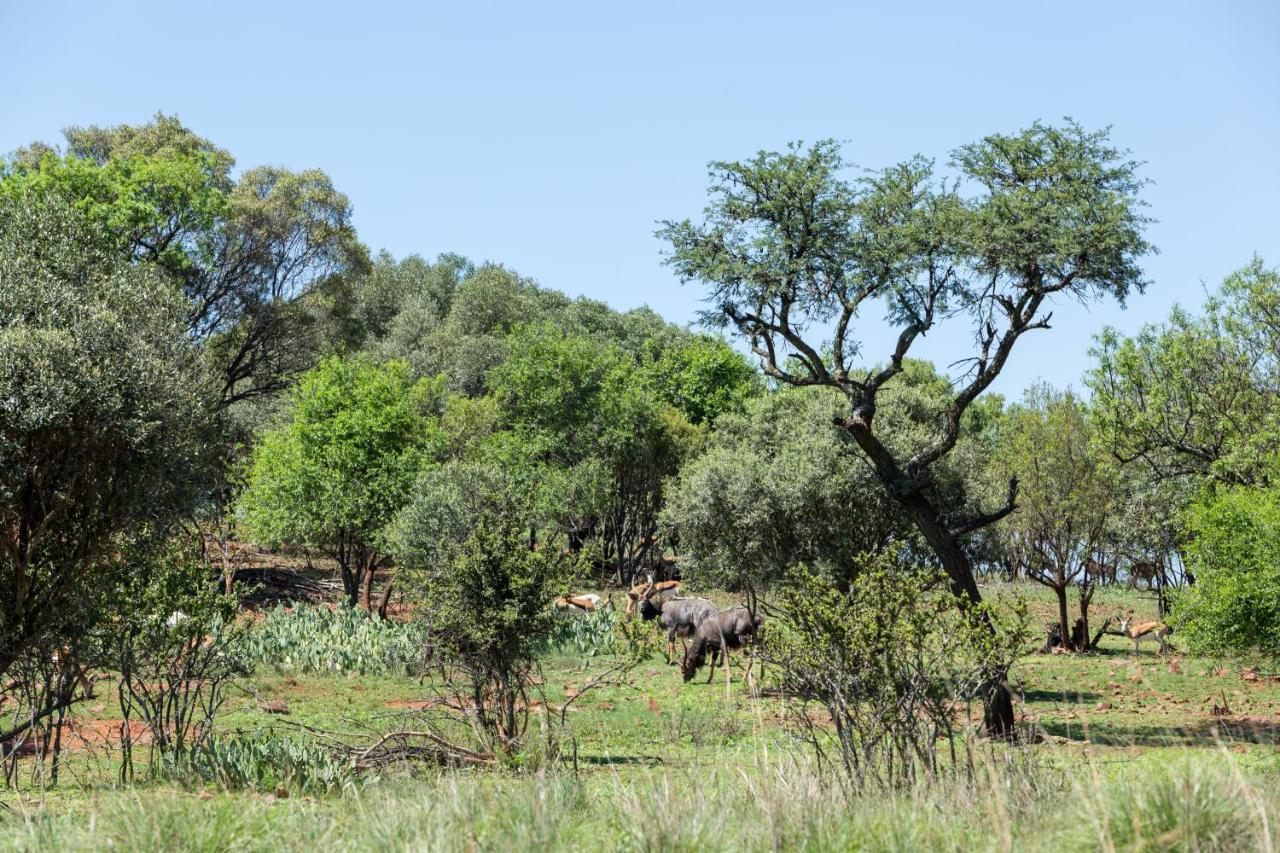 Harties Is Africa Safari Lodge Kosmos Екстер'єр фото