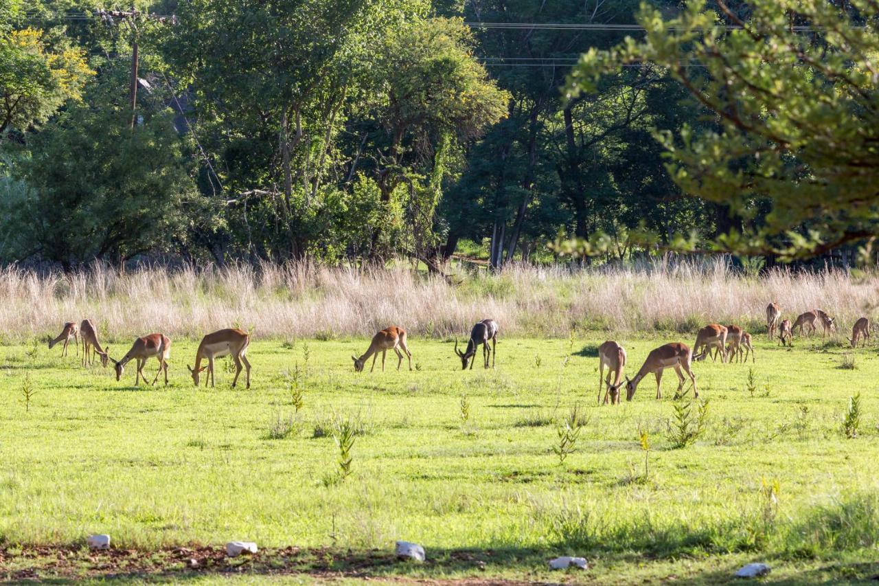 Harties Is Africa Safari Lodge Kosmos Екстер'єр фото