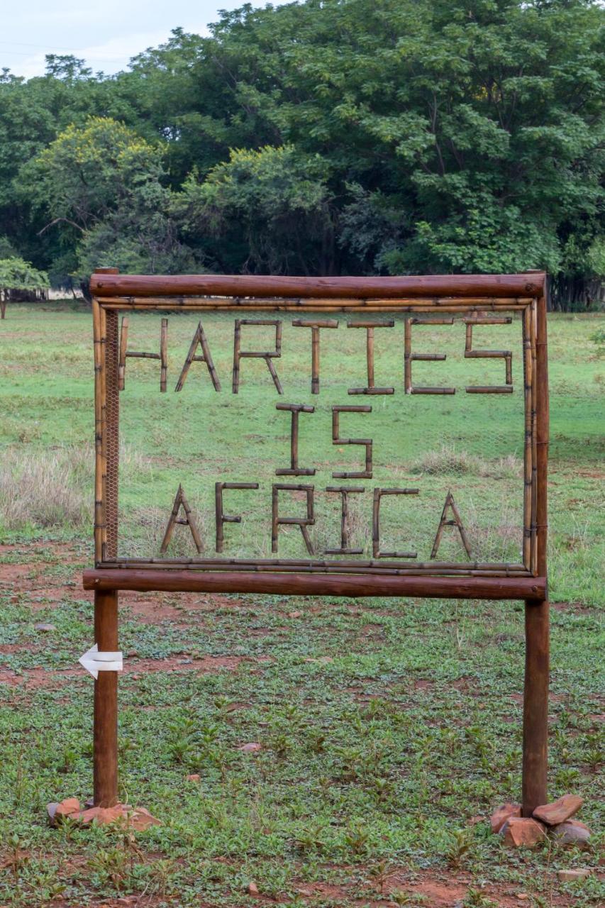 Harties Is Africa Safari Lodge Kosmos Екстер'єр фото