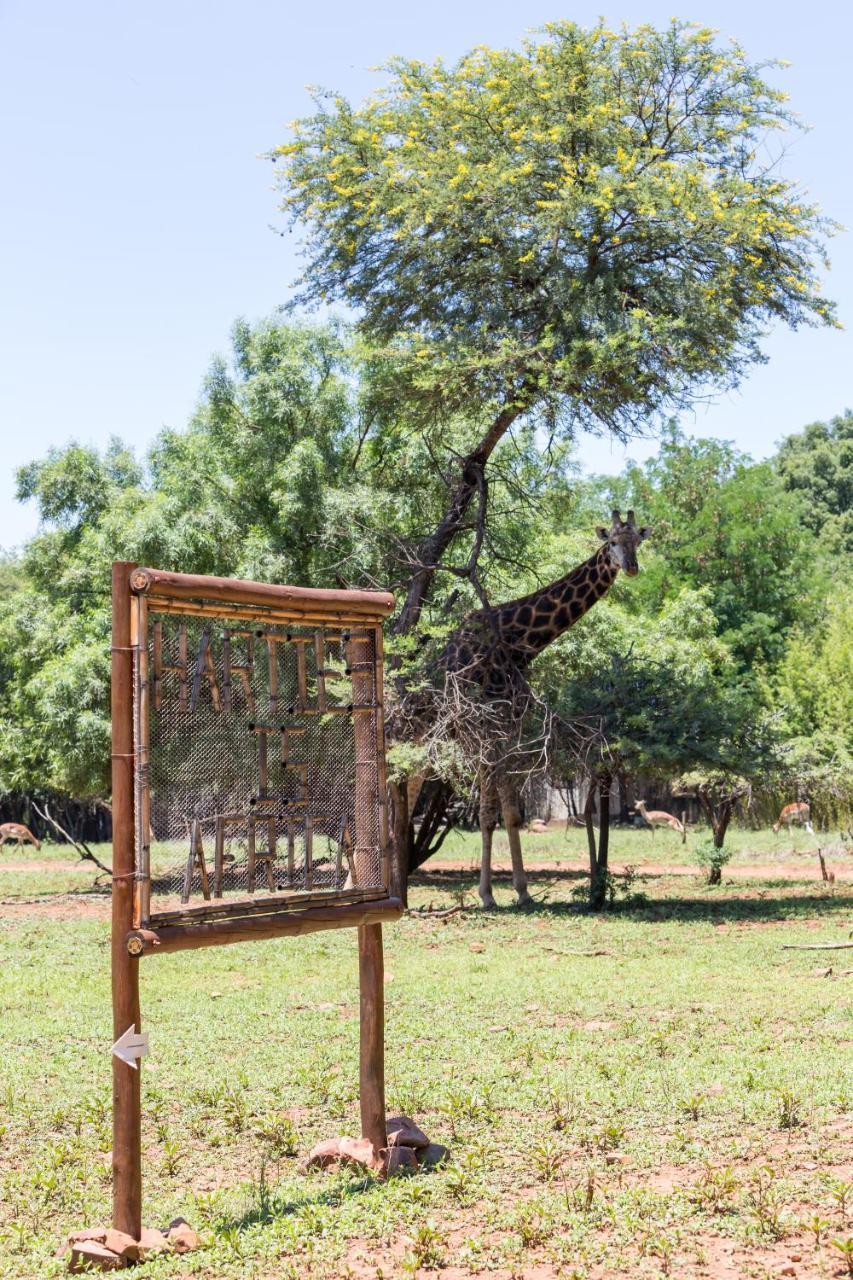 Harties Is Africa Safari Lodge Kosmos Екстер'єр фото